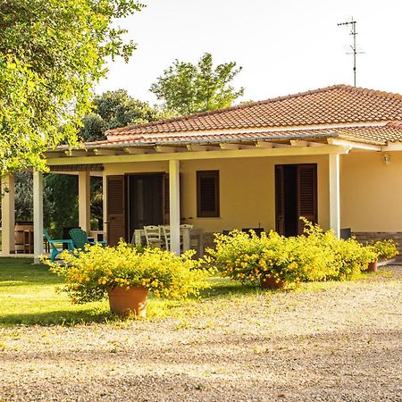 The Vineyards Bed and Breakfast Alghero Buitenkant foto
