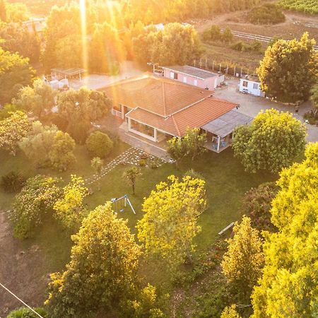The Vineyards Bed and Breakfast Alghero Buitenkant foto