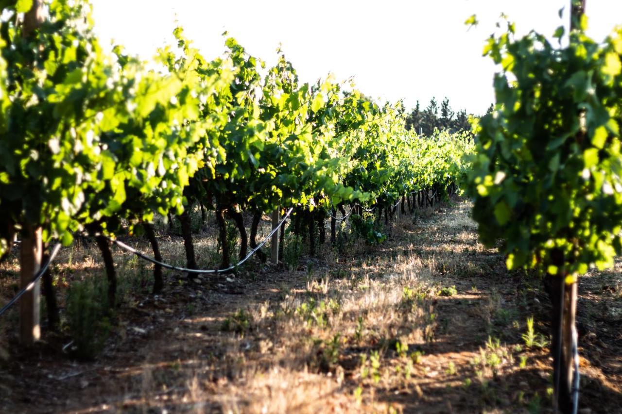 The Vineyards Bed and Breakfast Alghero Buitenkant foto