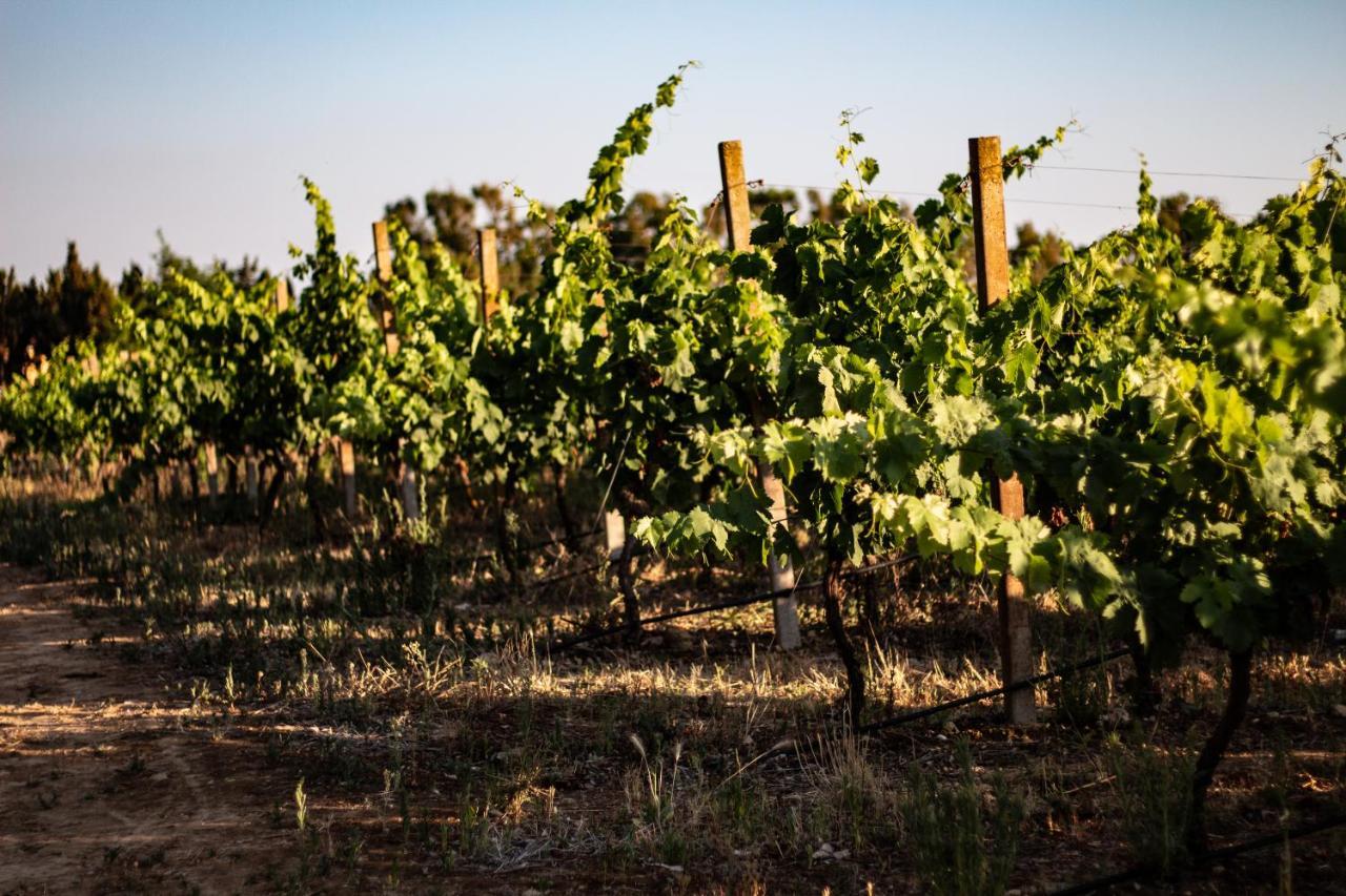 The Vineyards Bed and Breakfast Alghero Buitenkant foto