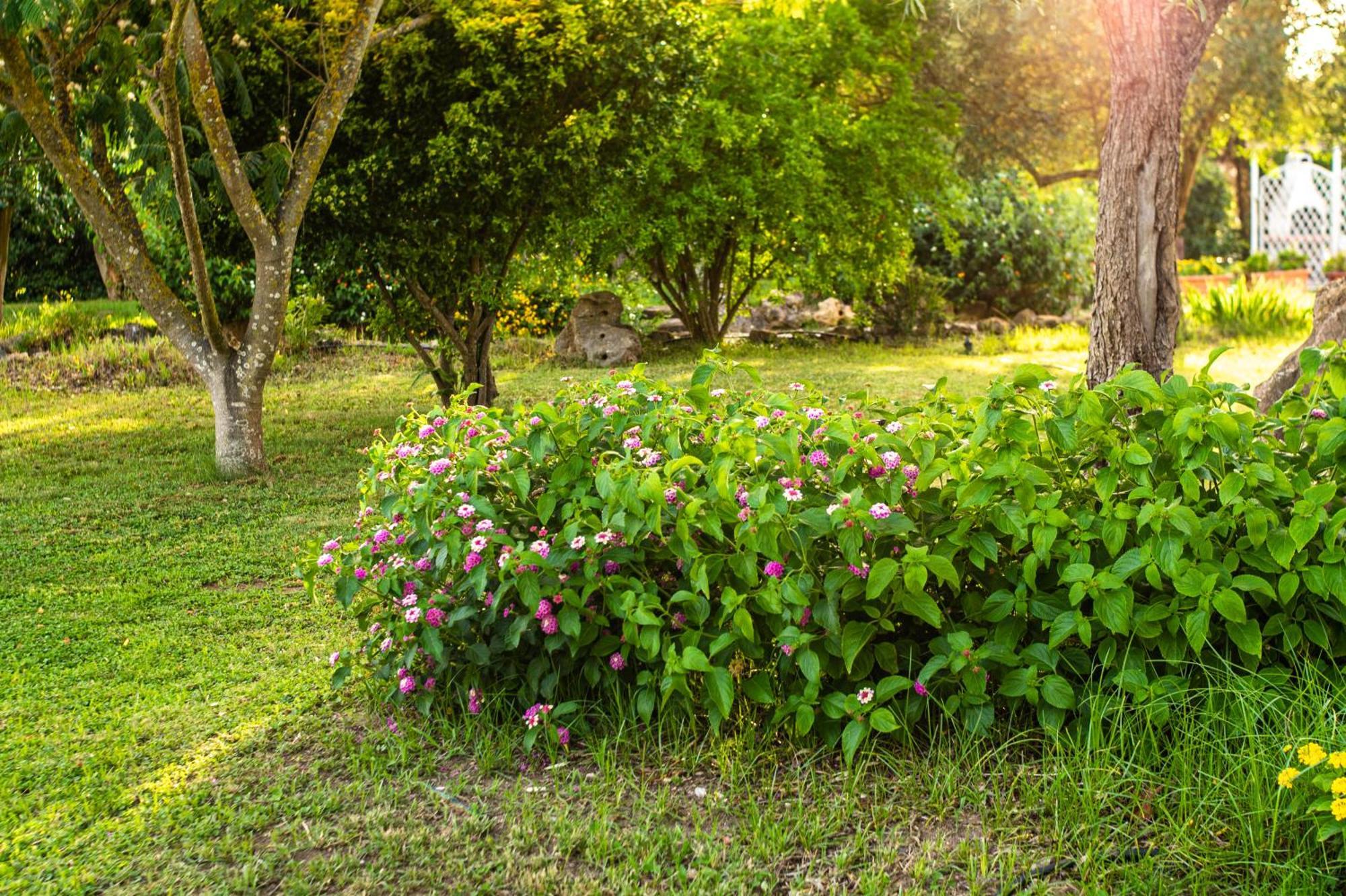 The Vineyards Bed and Breakfast Alghero Buitenkant foto
