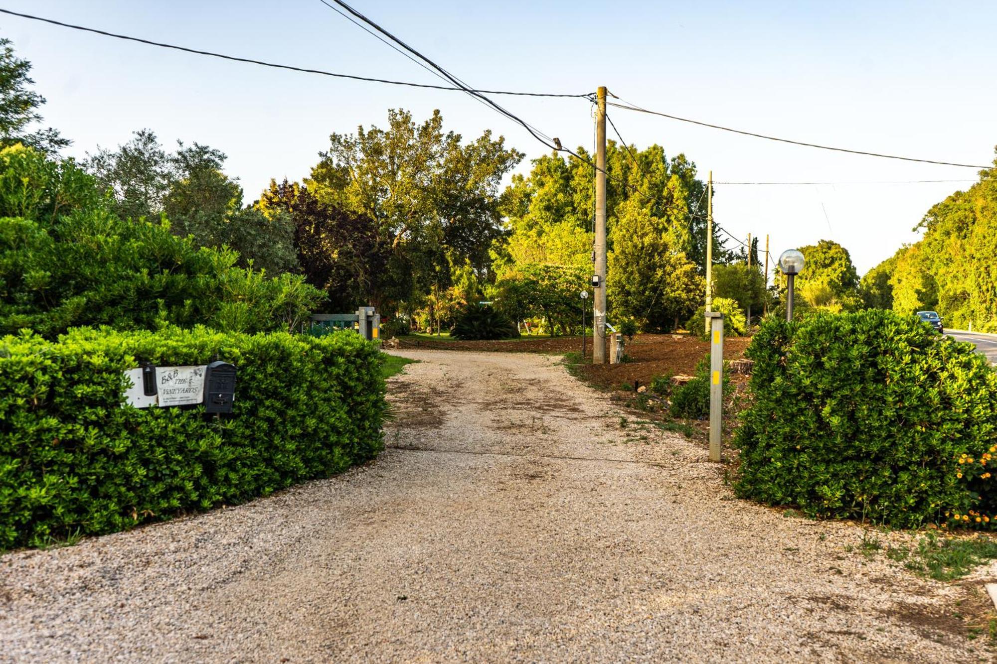 The Vineyards Bed and Breakfast Alghero Buitenkant foto